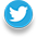 twitter logo